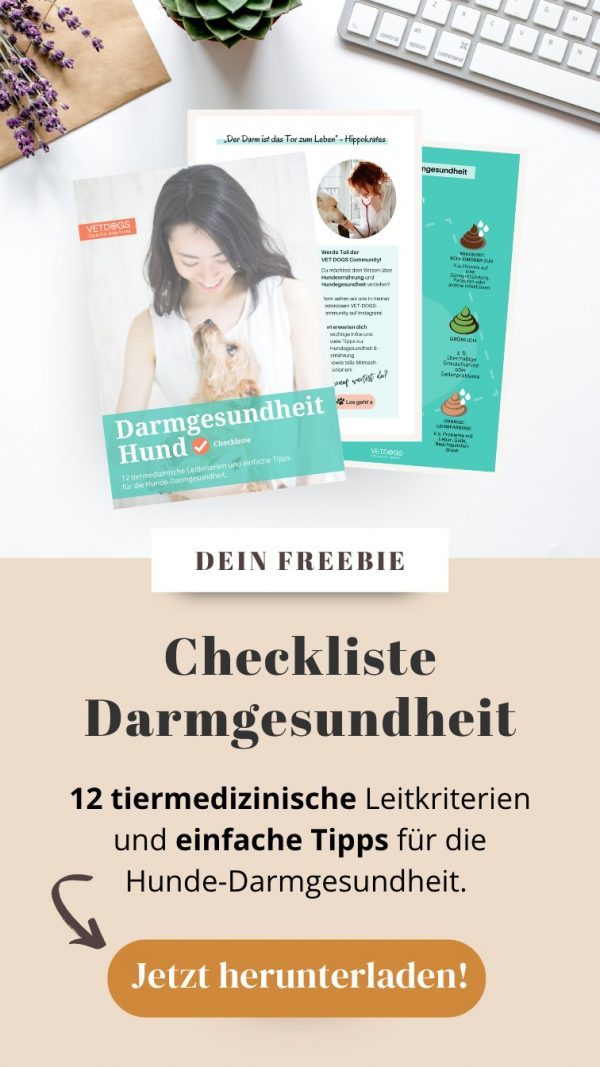 Freebie Checkliste Darmgesundheit