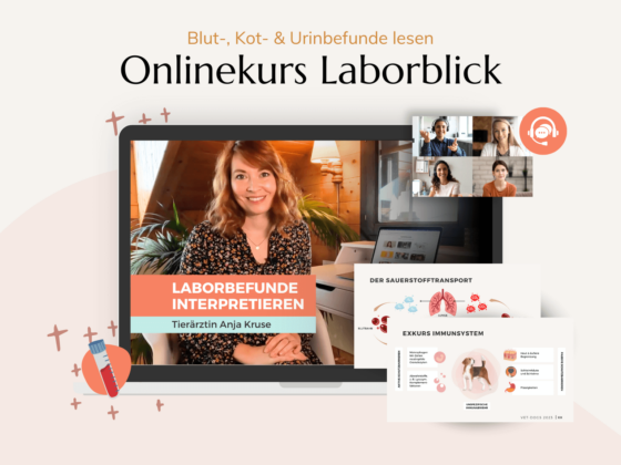 Onlinekurs Laborblick für Hunde