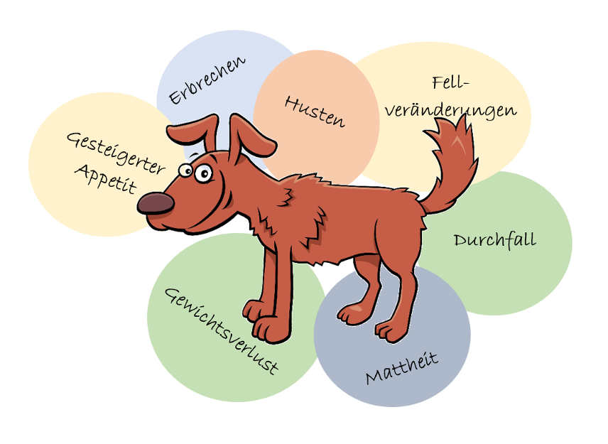 Klinische Anzeichen einer Endoparasitose