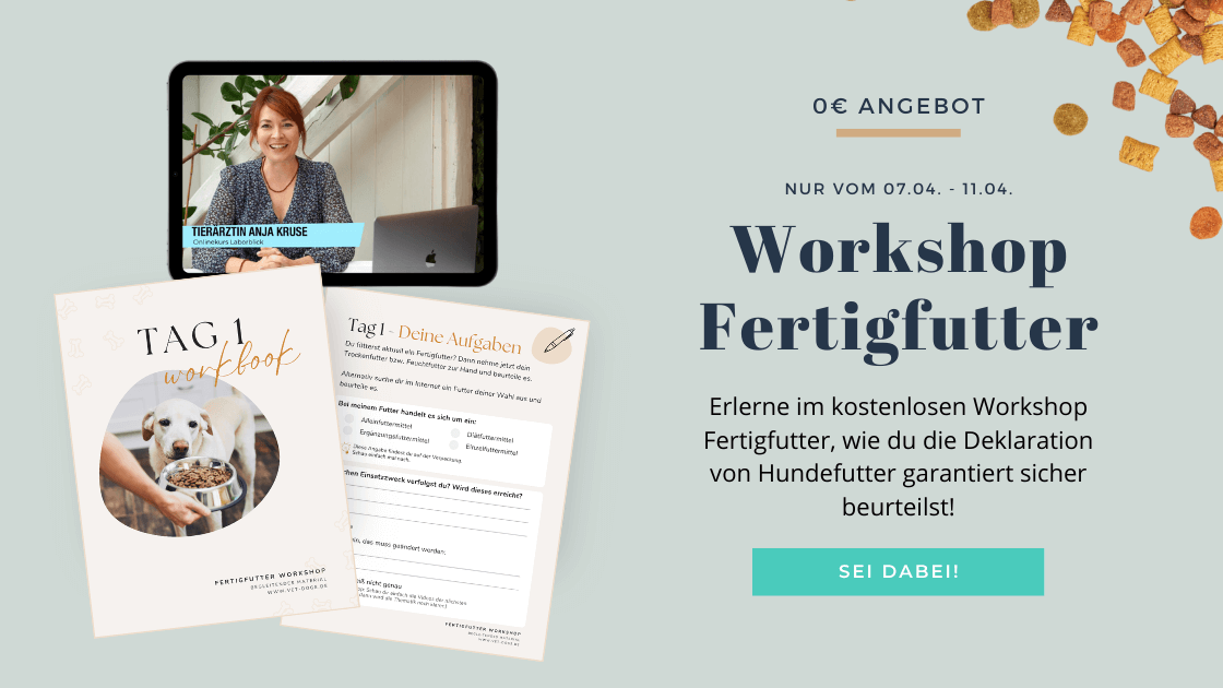 Workshop Fertigfutter