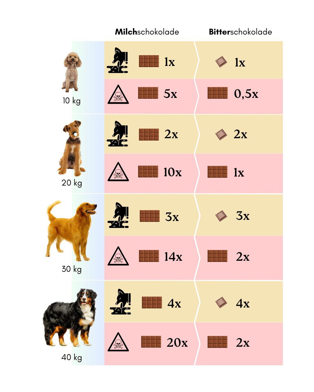 Tabelle Hund Schokolade gefährlich